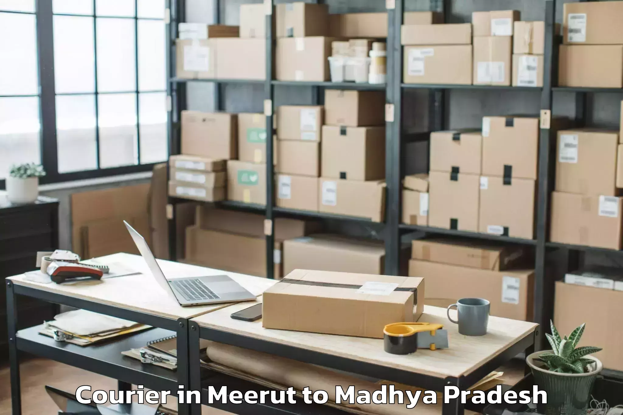 Hassle-Free Meerut to Dhar Courier